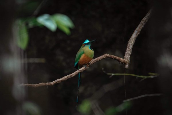 How Can You Incorporate Smart Lighting into a Child's Bedroom for Better Sleep?