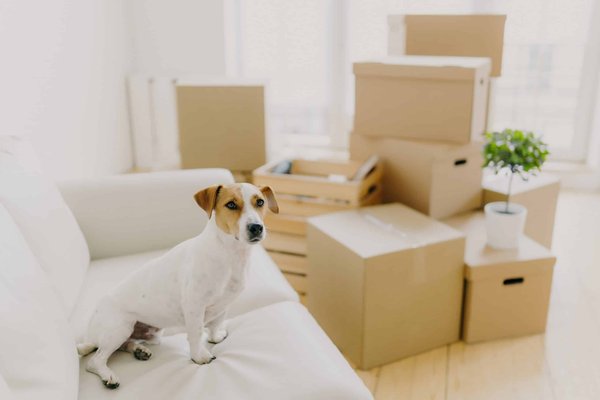 What Are the Perfect Heel Heights for Standing All Day in a Retail Job?